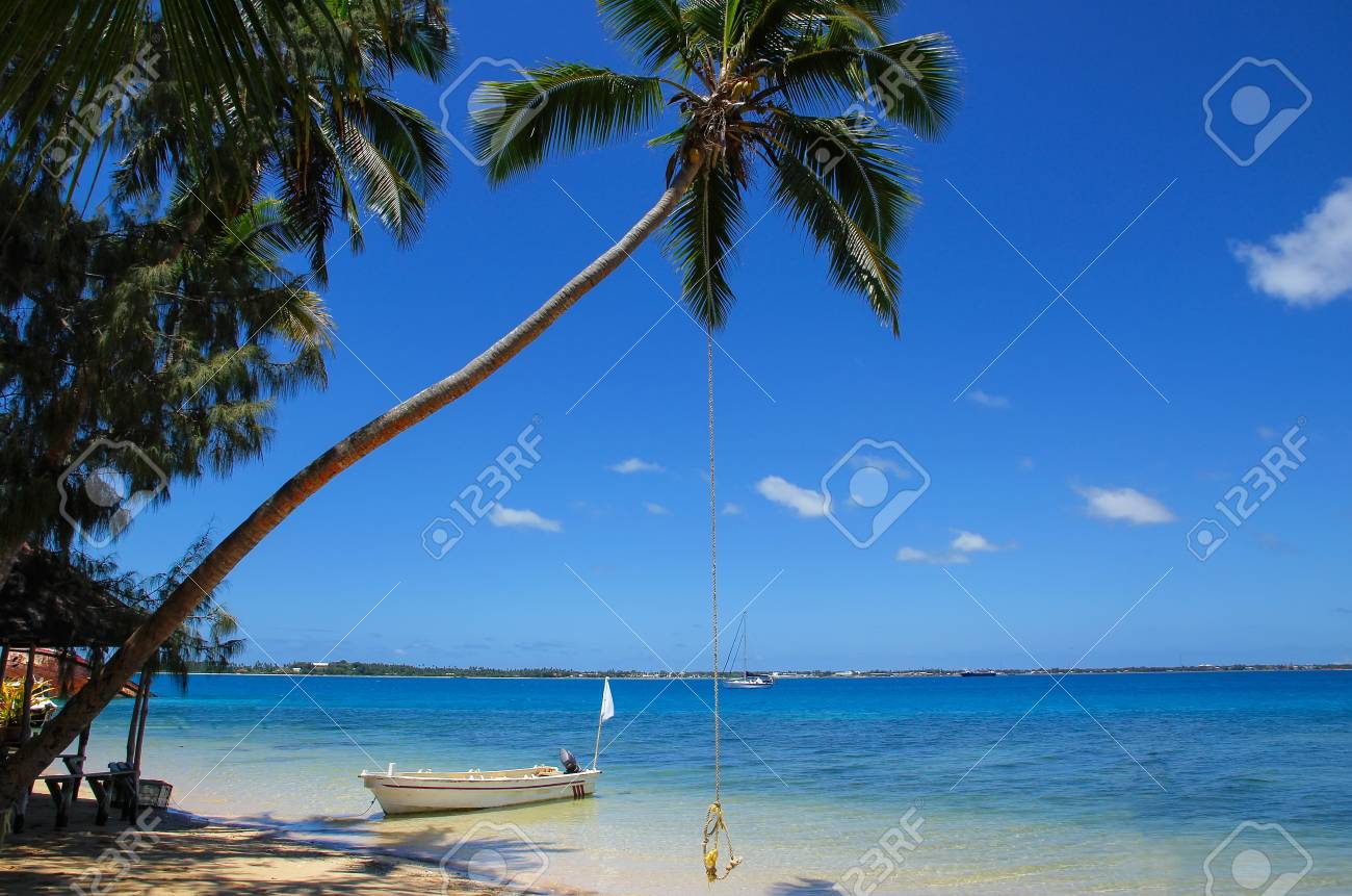 leaning palm tree with rope swing at pangaimotu island near