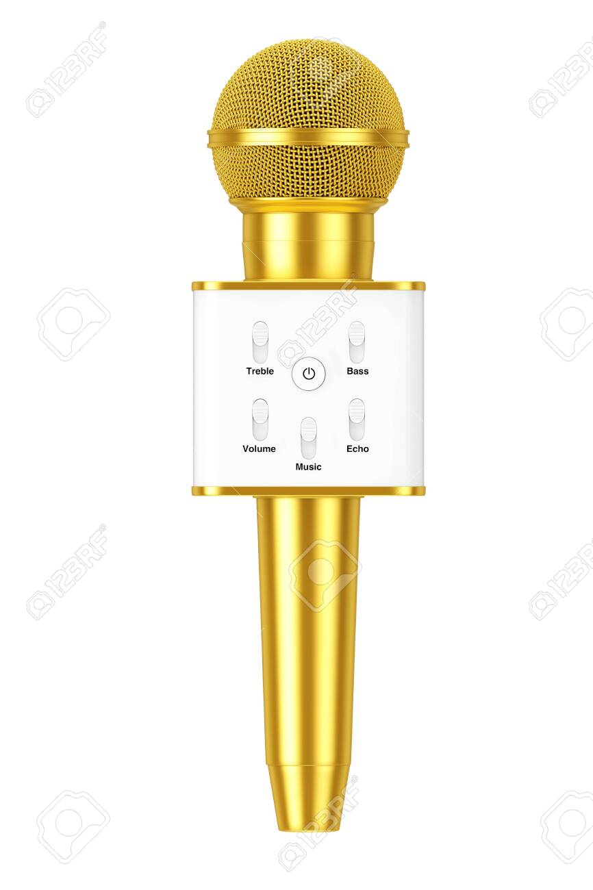 personal microphone and speaker