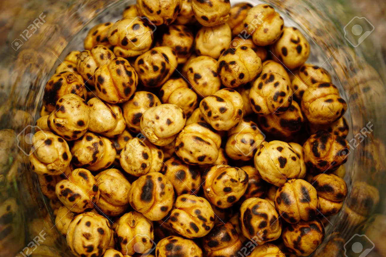 etiam-dictum-ipsum-a-felis