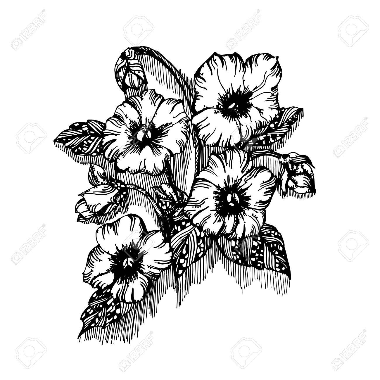 手で古代の花をスケッチします ケシのフィールドです おしゃれなイラスト 夏のモチーフ 夏のカフェ 結婚式への招待 花屋のビジネス カードのメニューを召し上がりいただけます のイラスト素材 ベクタ Image