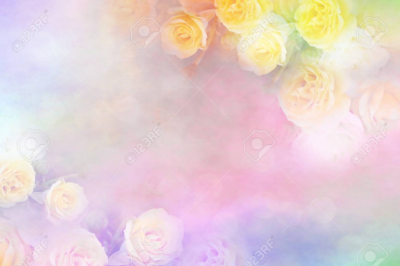 Filtres De Couleur Vintage De Cadre De Fleur Rose Jaune Arrière Plan Pour Valentine Ou Carte De Mariage