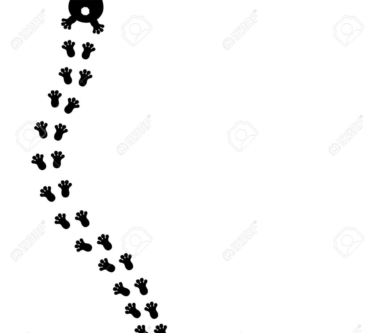 비트코인 나비패턴 (86) 사진