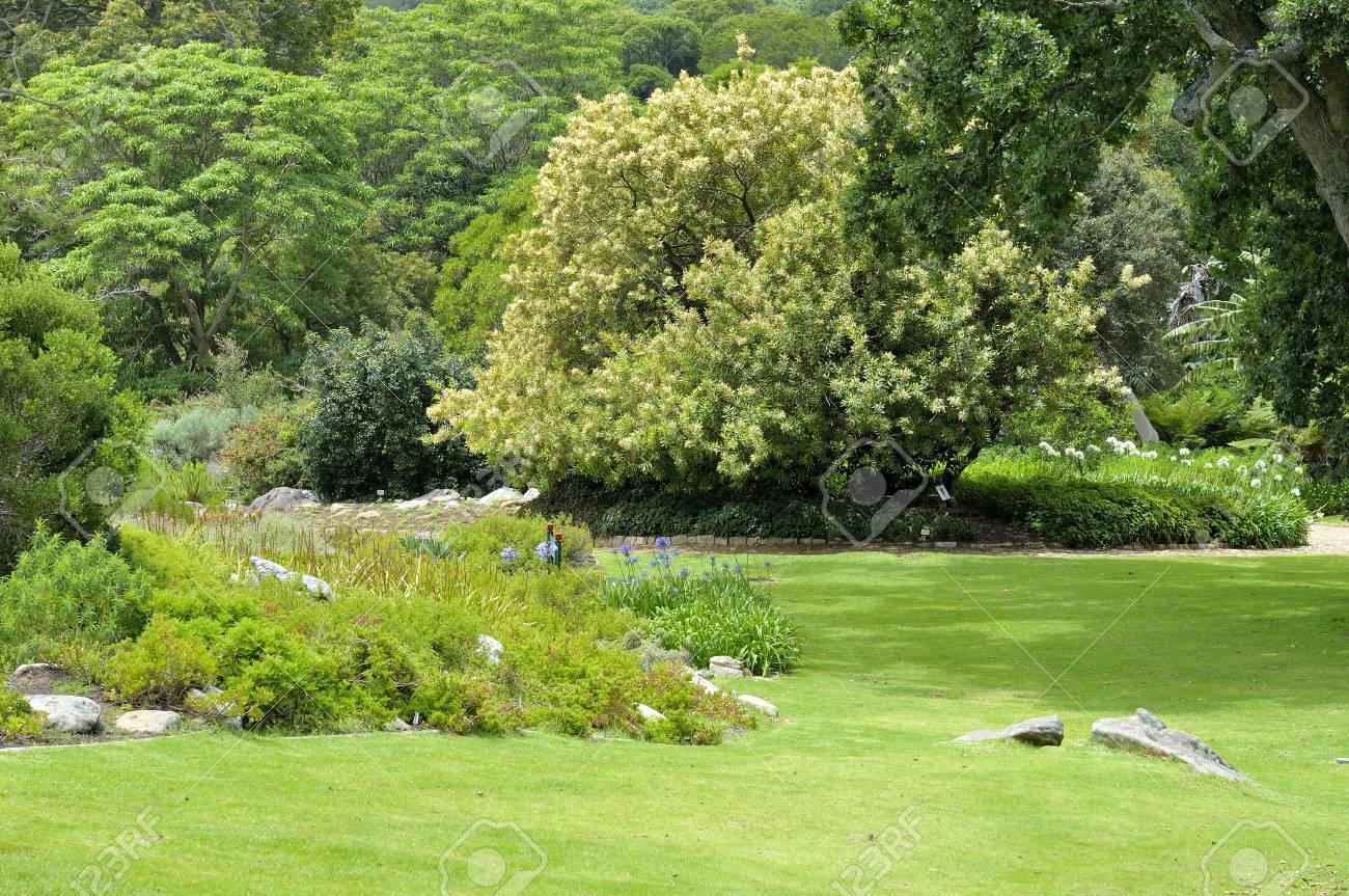 カーステンボッシュ国立植物園のケープタウン 南アフリカ共和国の静けさ の写真素材 画像素材 Image