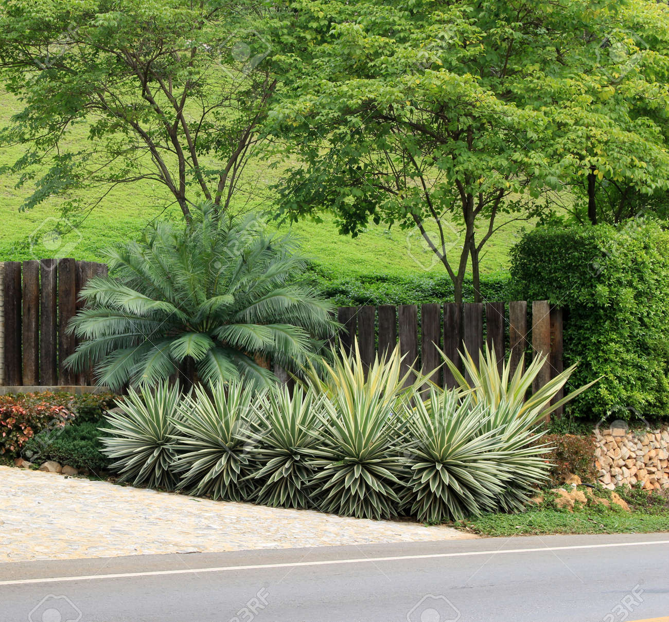 etiam-dictum-ipsum-a-felis