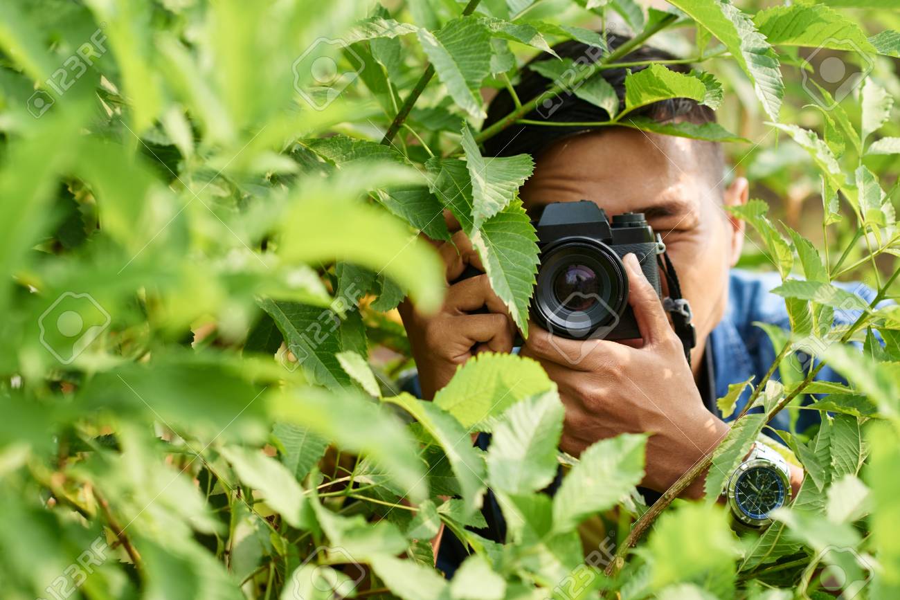 Asian Nature Photographer Taking Photos In Forest Stock Photo, Picture and  Royalty Free Image. Image 77171936.