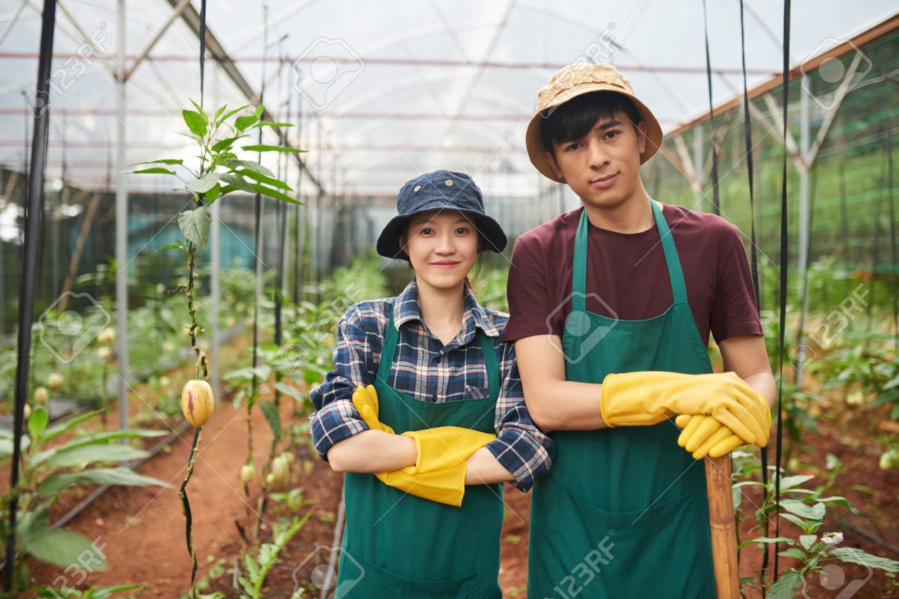 Cheerful young farm workers - 93896651 Cheerful young farm workers - 93896651