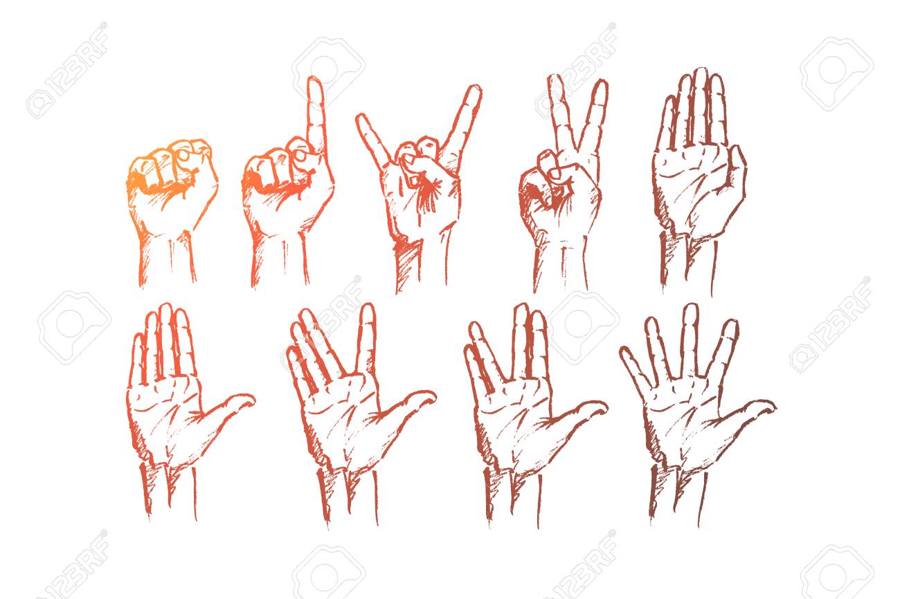 Vector Hand Drawn Hand Signs Concept Sketch Set Of Human Palms