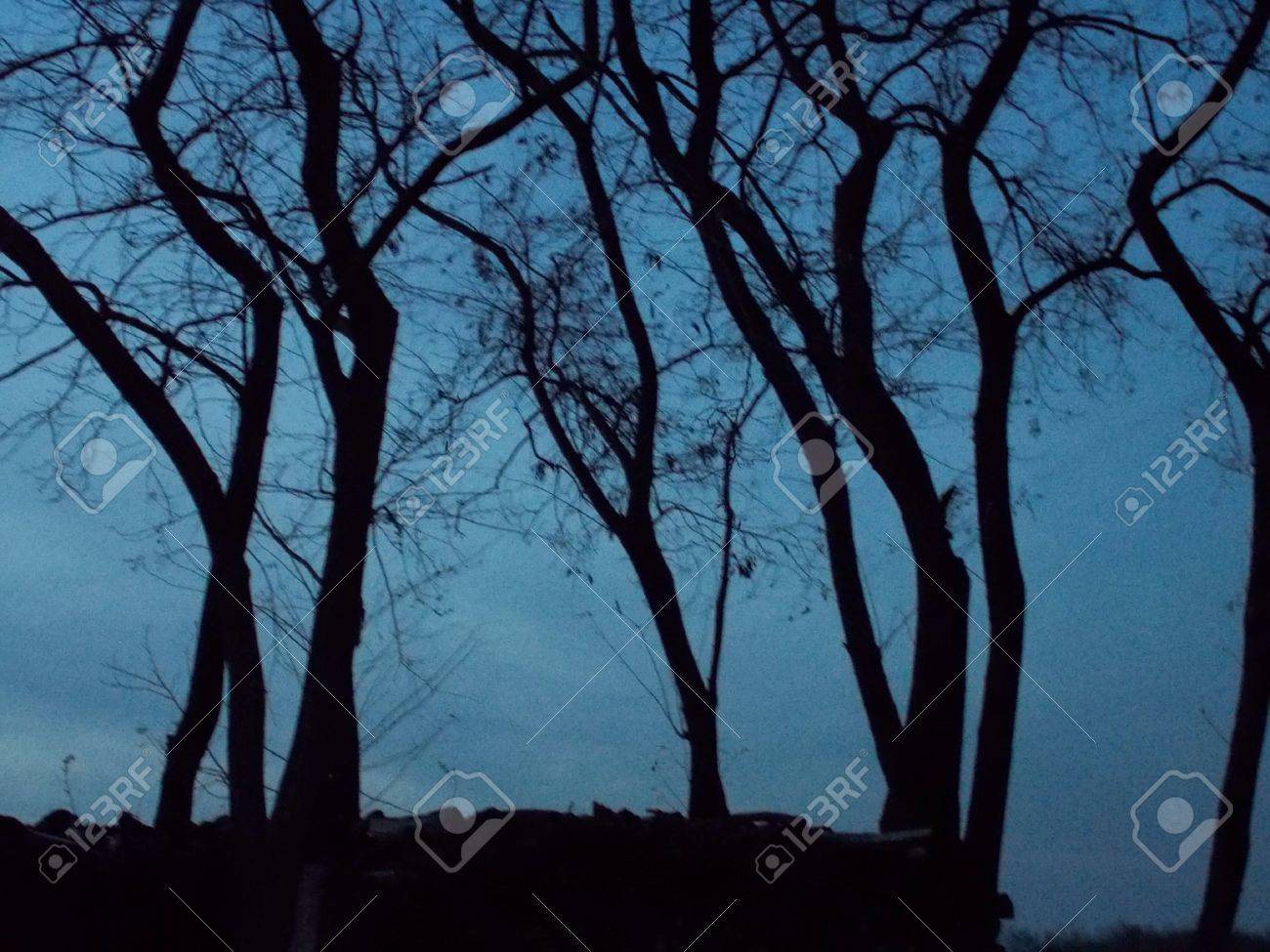 闇が落ちるとき の写真素材 画像素材 Image 闇が落ちるとき の写真素材 画像素材 Image