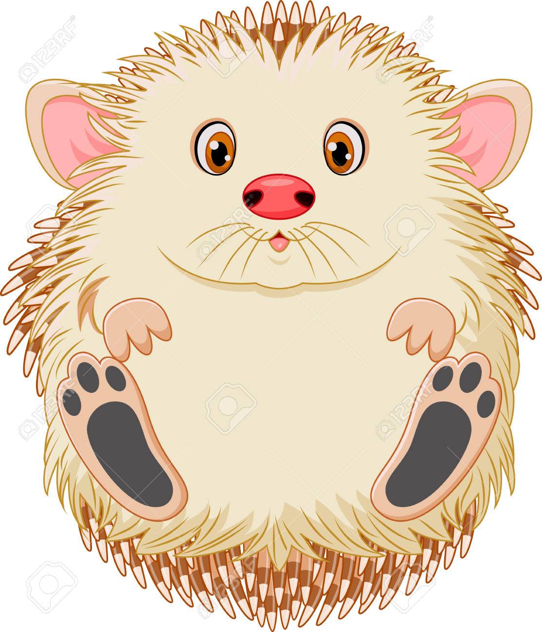 Illustration Of Cute Baby Hedgehog Royalty Free Cliparts Vectors