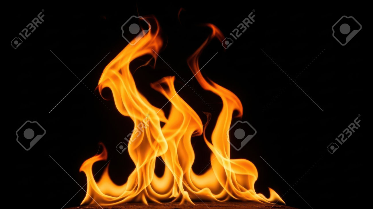 etiam-dictum-ipsum-a-felis