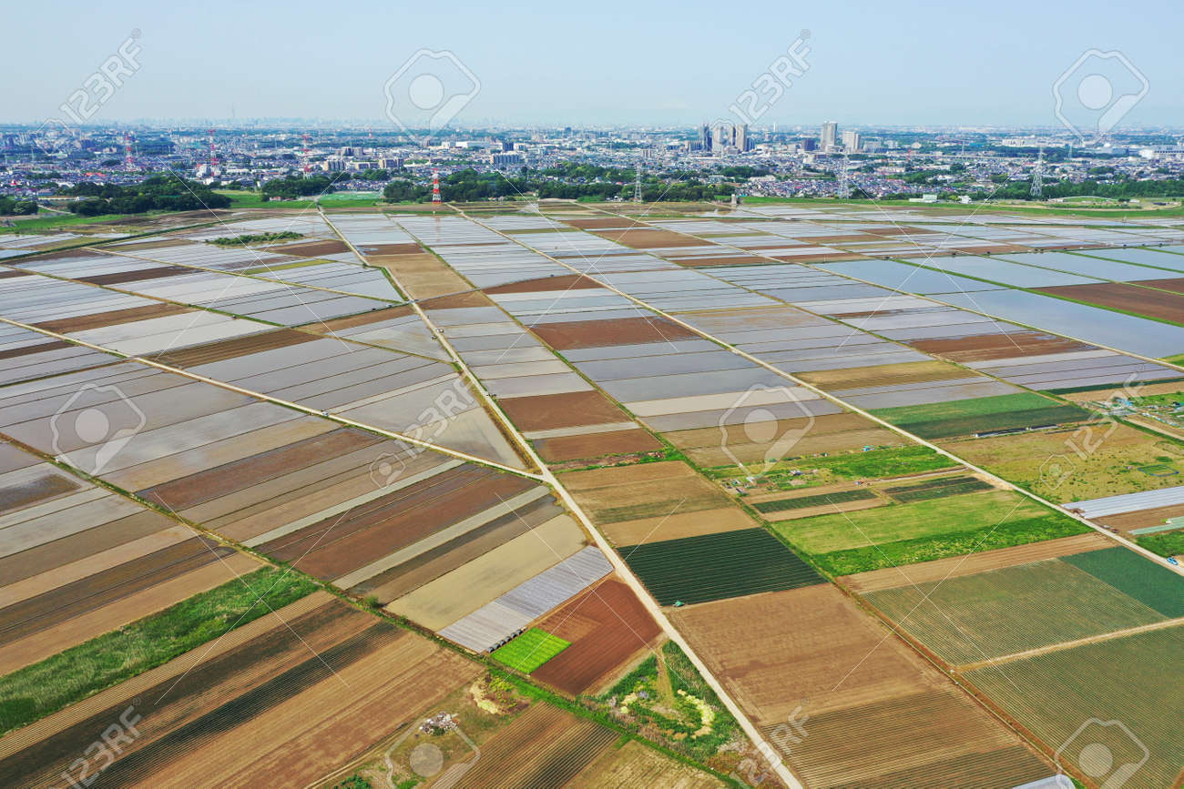 Aerial shot of rice field before rice planting - 169894343 Aerial shot of rice field before rice planting - 169894343