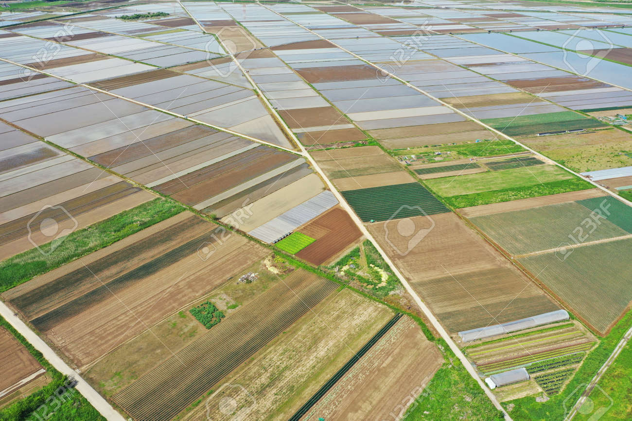 Aerial shot of rice field before rice planting - 169894365 Aerial shot of rice field before rice planting - 169894365