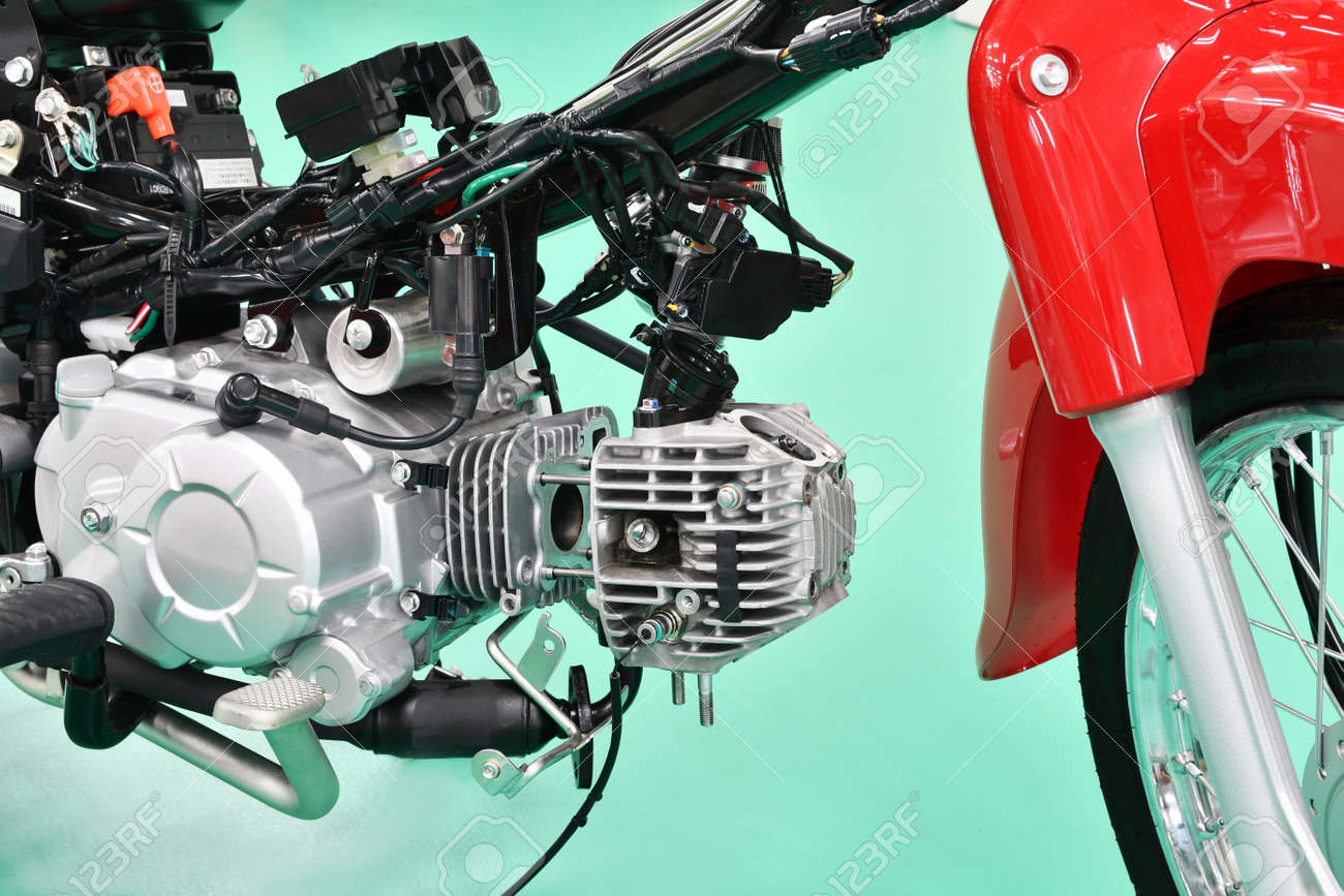 etiam-dictum-ipsum-a-felis