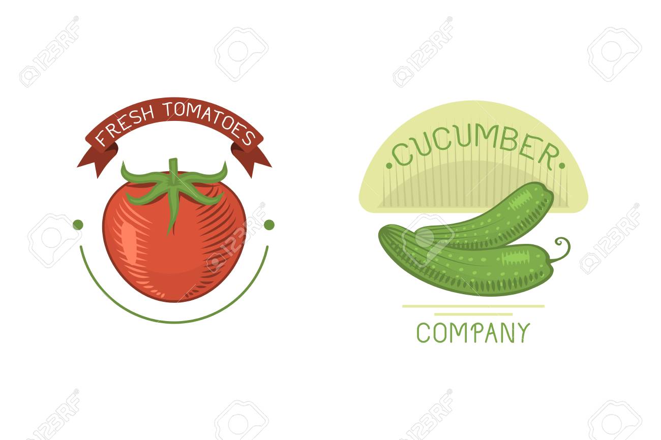 vector vegetables cucumber and tomato label template icon royalty