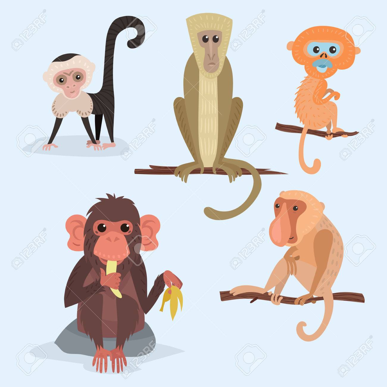 様々 なパンは猿キャラ動物野生動物園サル チンパンジー ベクター イラストです のイラスト素材 ベクタ Image