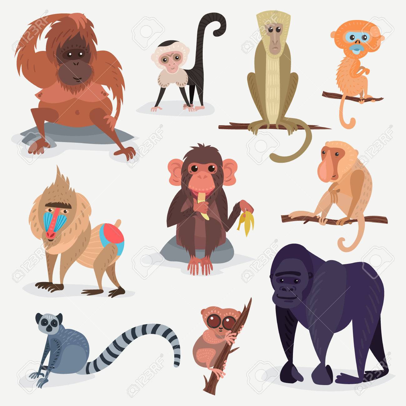 別の漫画猿犬キャラ動物野生動物園サル チンパンジー ベクトル イラスト のイラスト素材 ベクタ Image