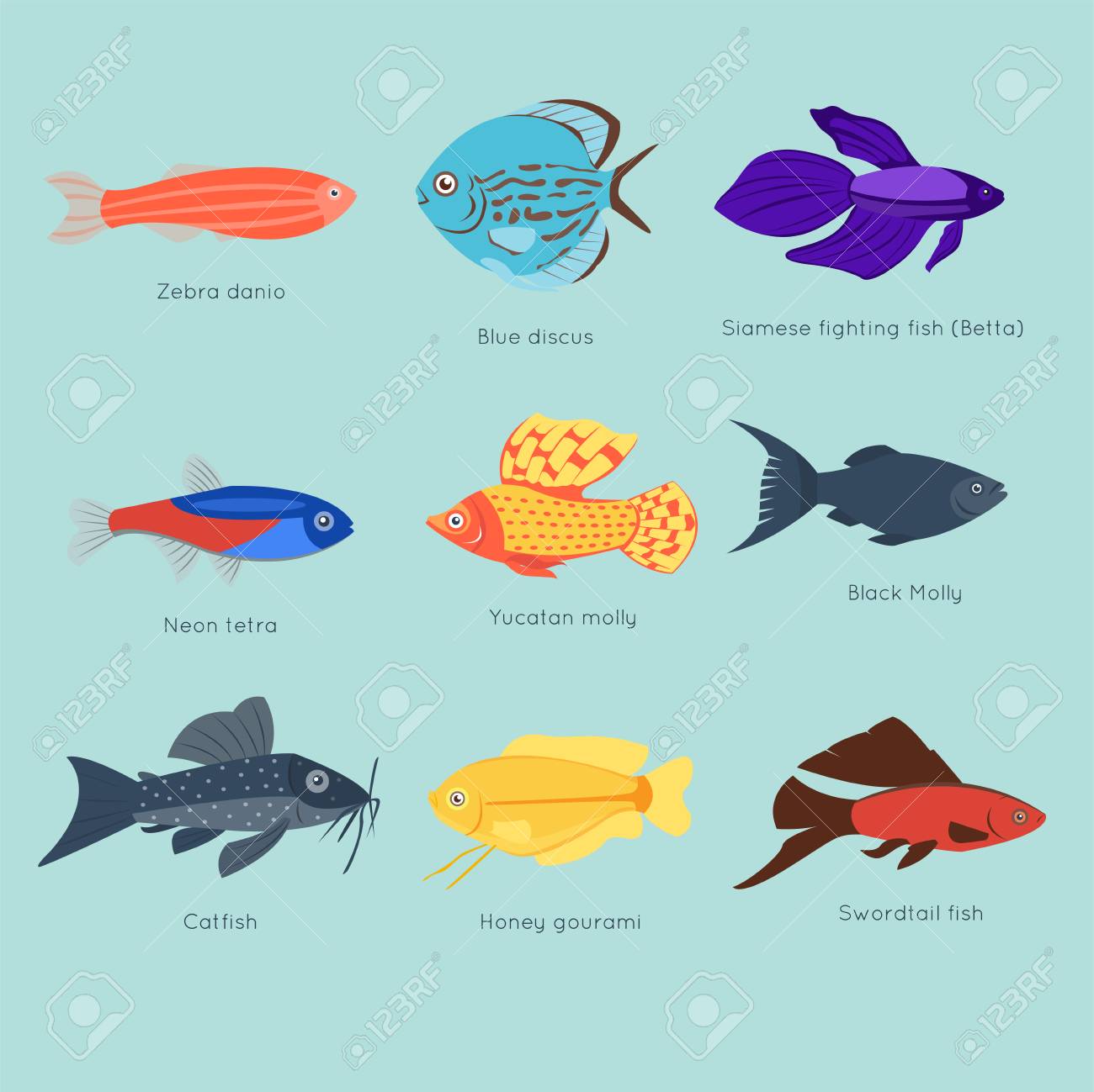 Exóticos Tropicales Peces Diferentes Colores Submarinos Océano