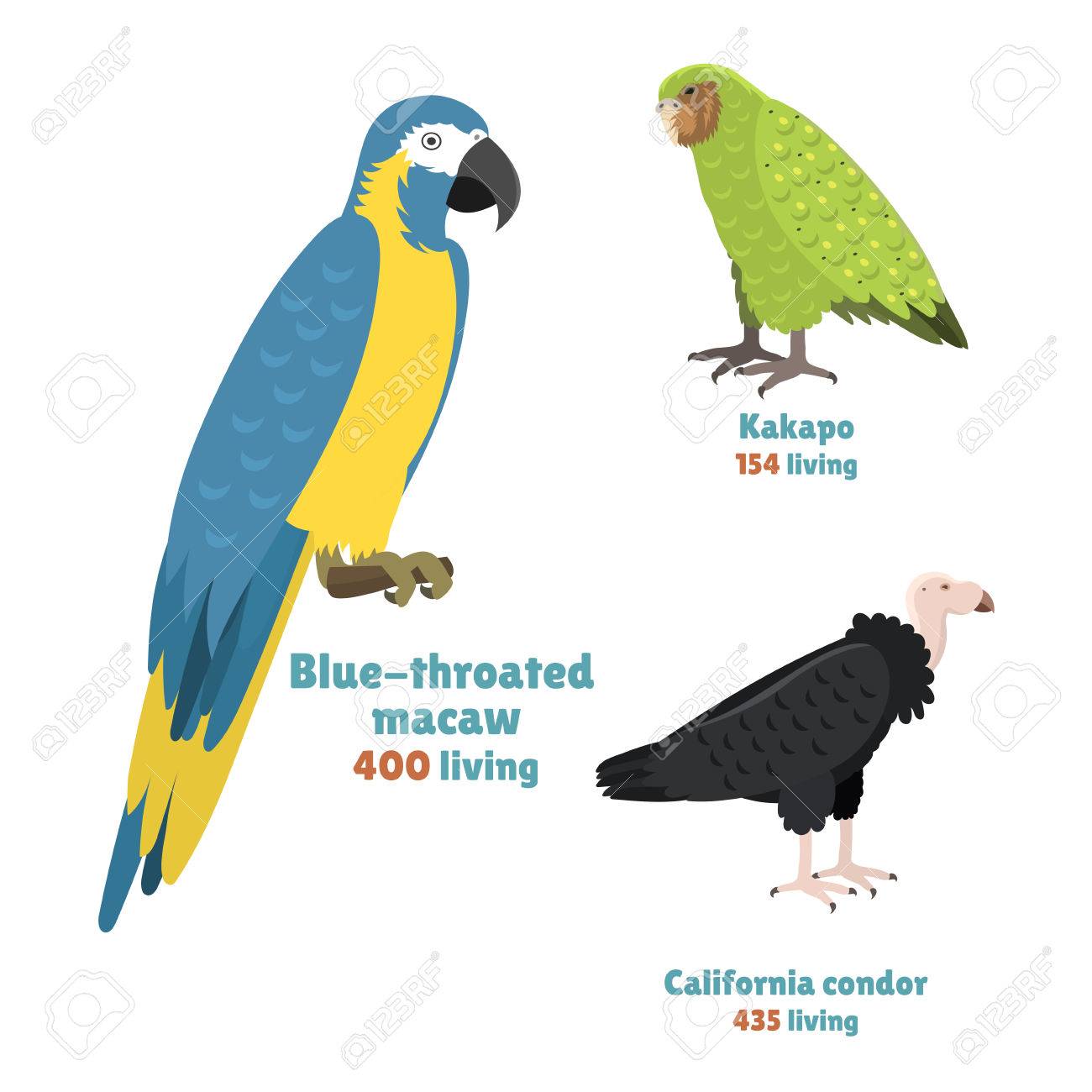 Un Oiseau Bleu Dans Une Maison Doiseau Rouge En Haut Dune