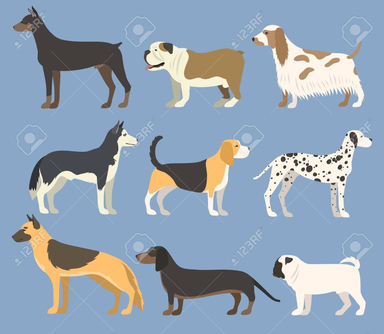 フラット スタイル子犬ペット動物犬ベクトル図にペット犬の性格のパン のイラスト素材 ベクタ Image