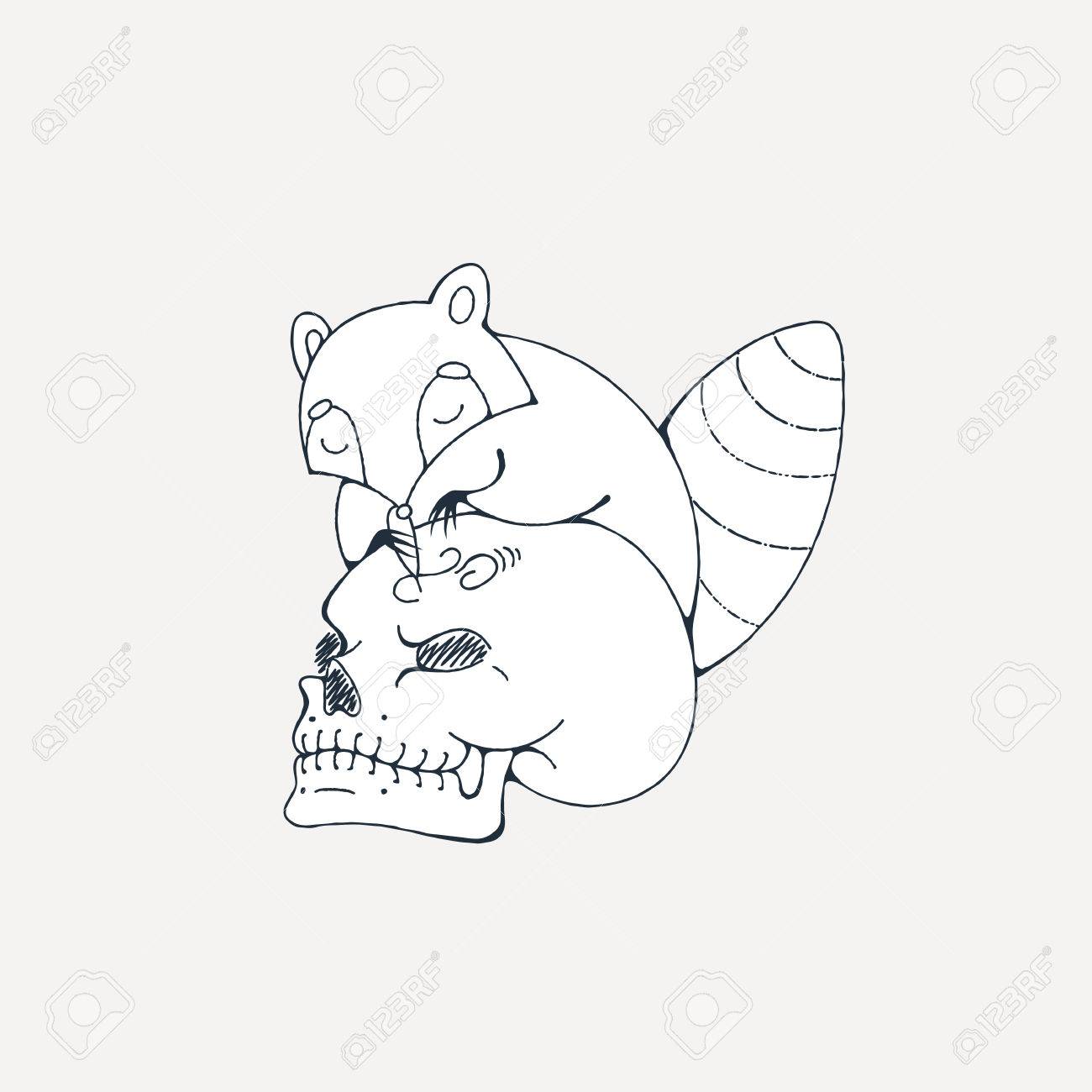 タヌキのイラストは 人間の頭蓋骨を刻みます ベクトルの着色のページ のイラスト素材 ベクタ Image 68322988