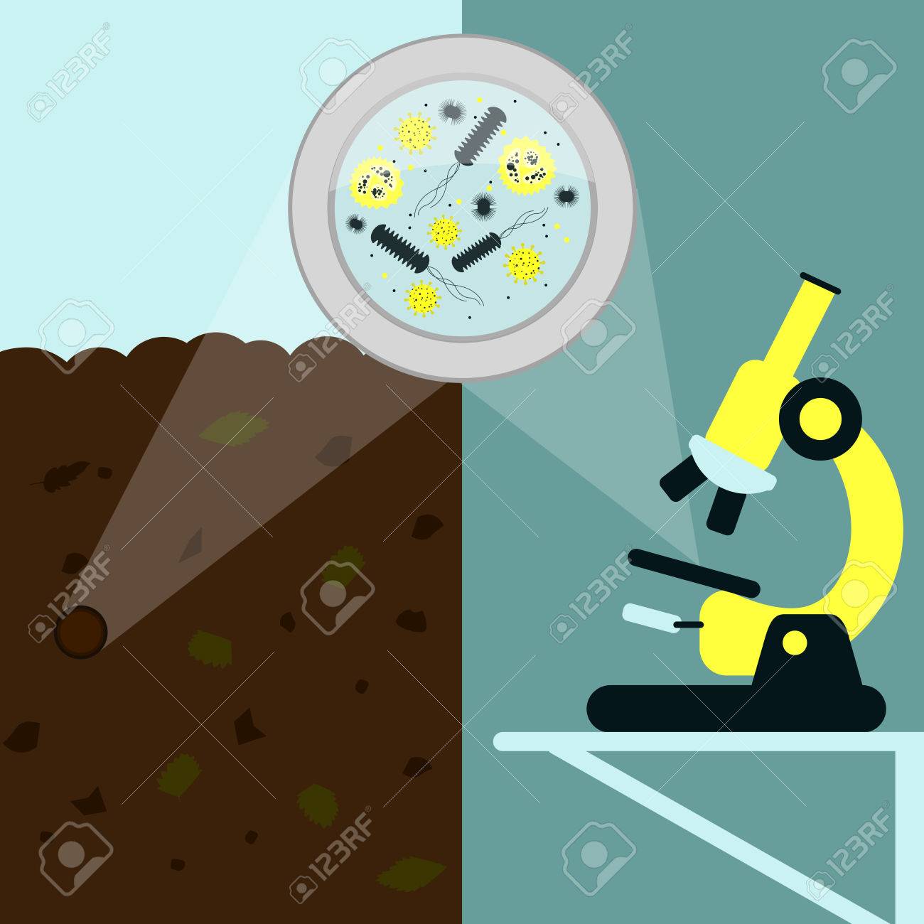 magnifying glass enlarging the microorganism bacteria and virus enlarging photos