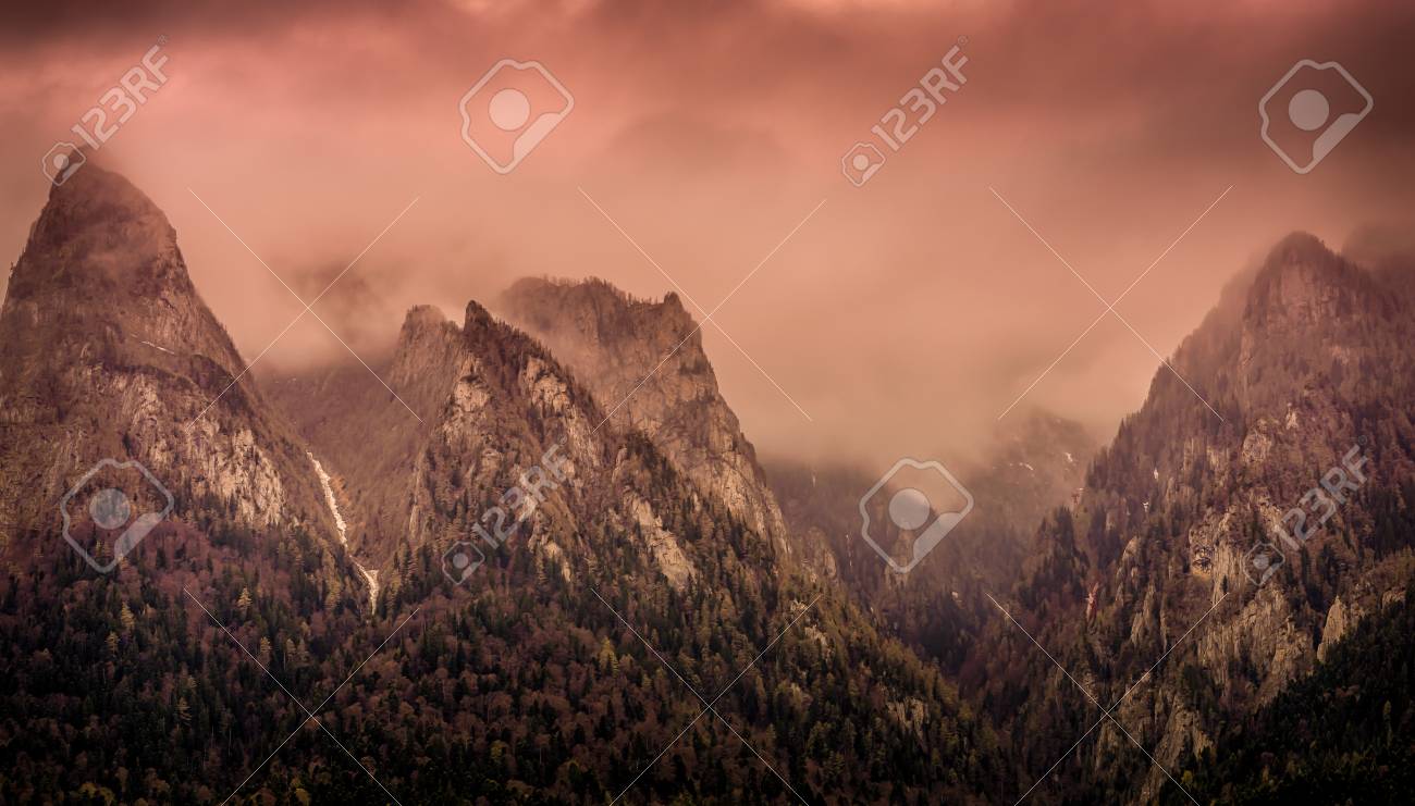 etiam-dictum-ipsum-a-felis