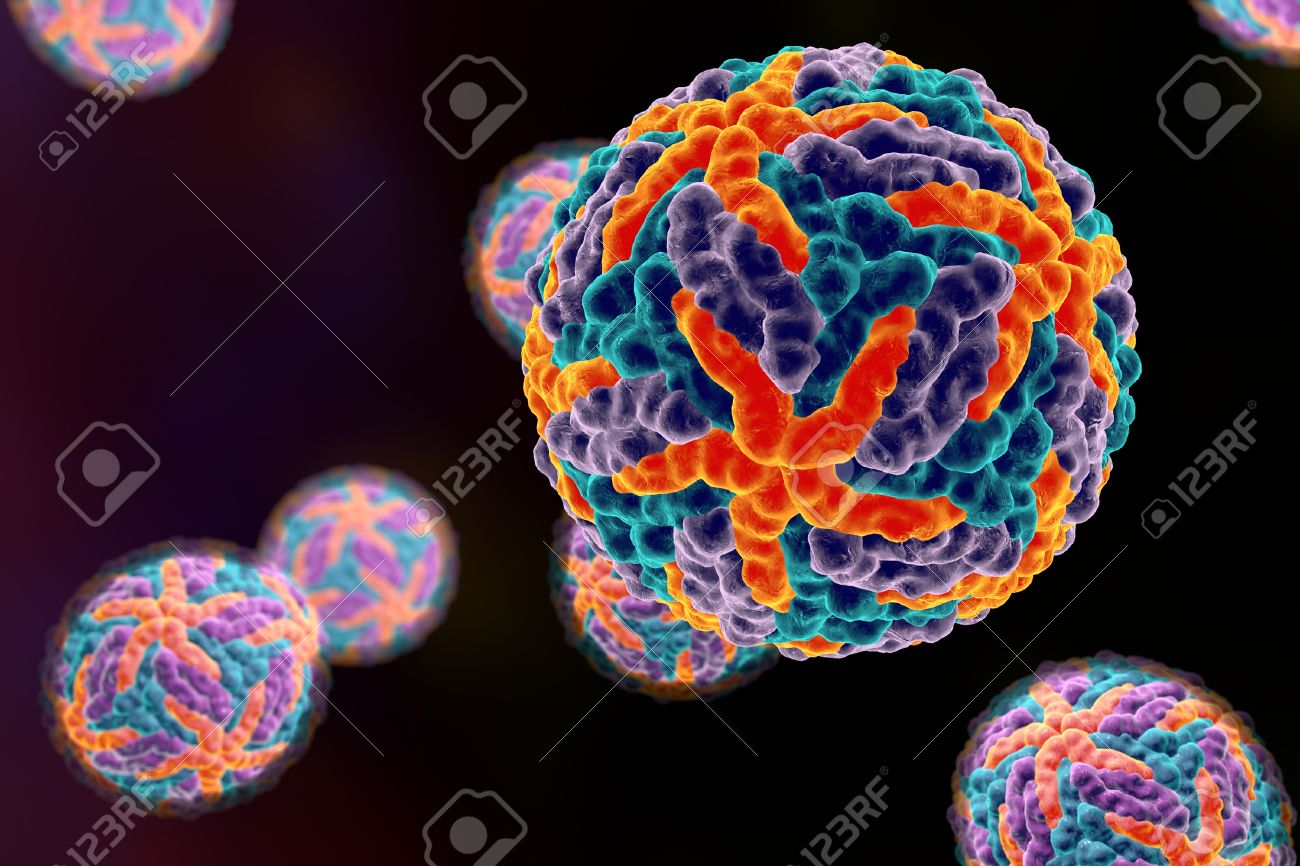 Illustration Of Dengue Virus On Black Background A Model Is Stock Photo Picture And Royalty Free Image Image 47669865