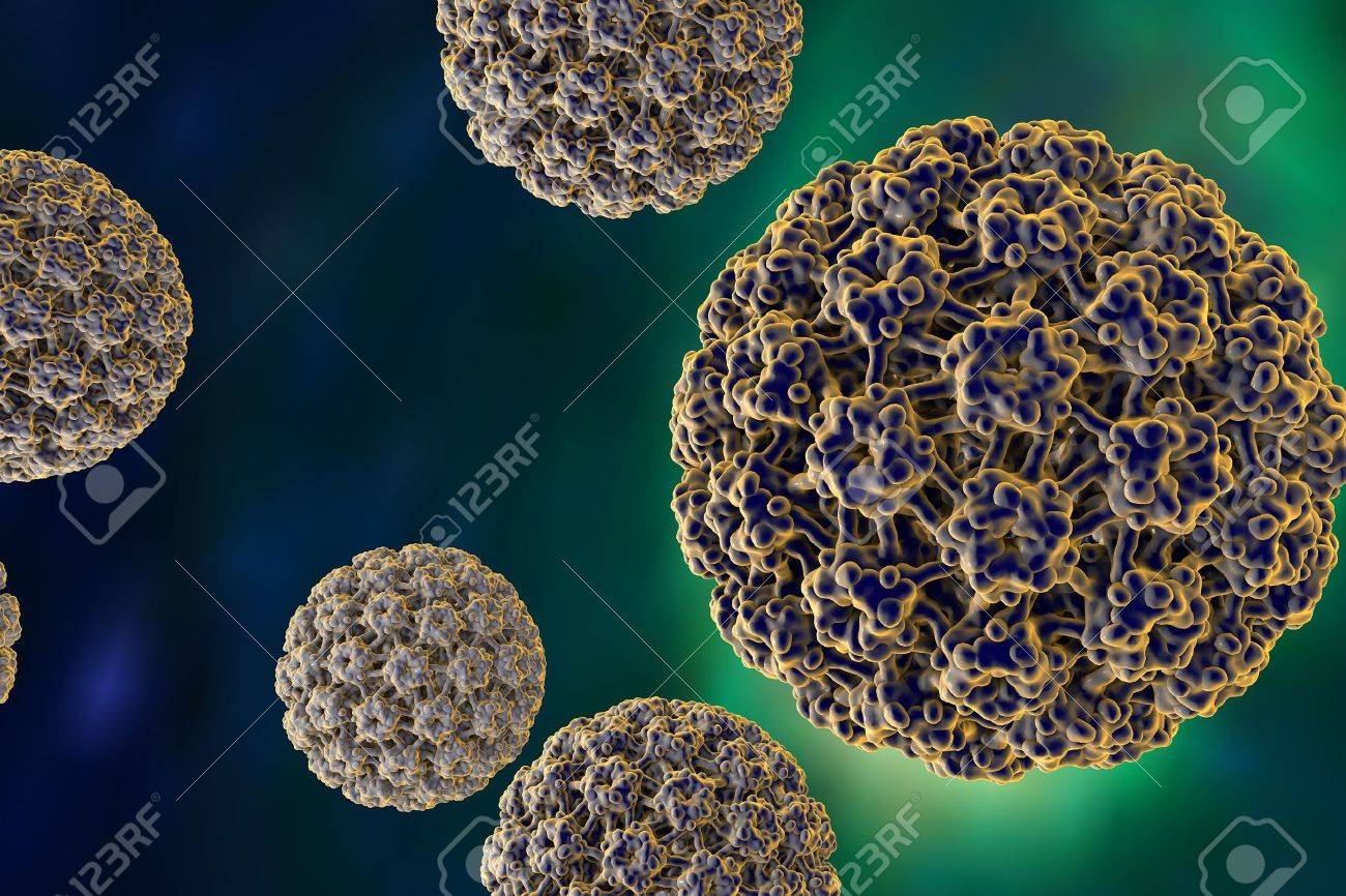 papillomavirus humain de type 16