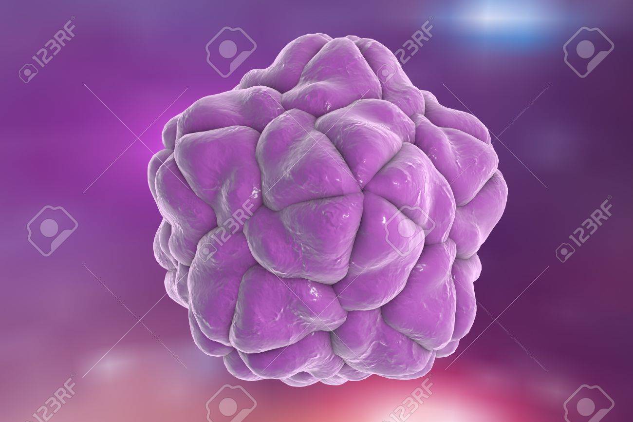 カラフルな背景に衛星タバコ モザイク ウイルス 蛋白質のデータ バンク Pdb 2buk によって提供されたウイルスの高分子構造のデータを使用してモデルを構築します の写真素材 画像素材 Image