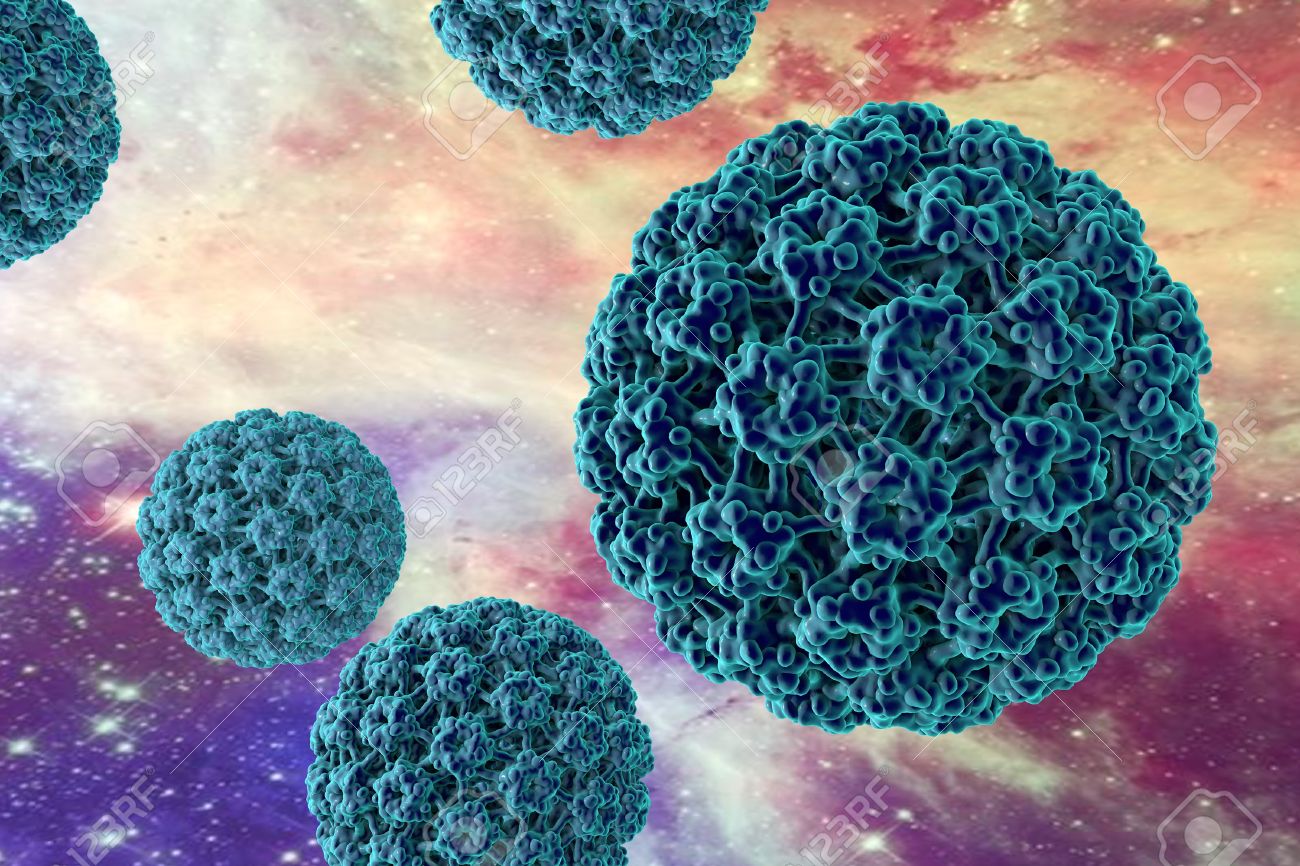 humaan papillomavirus type 16 tip de simetrie vierme rotunde
