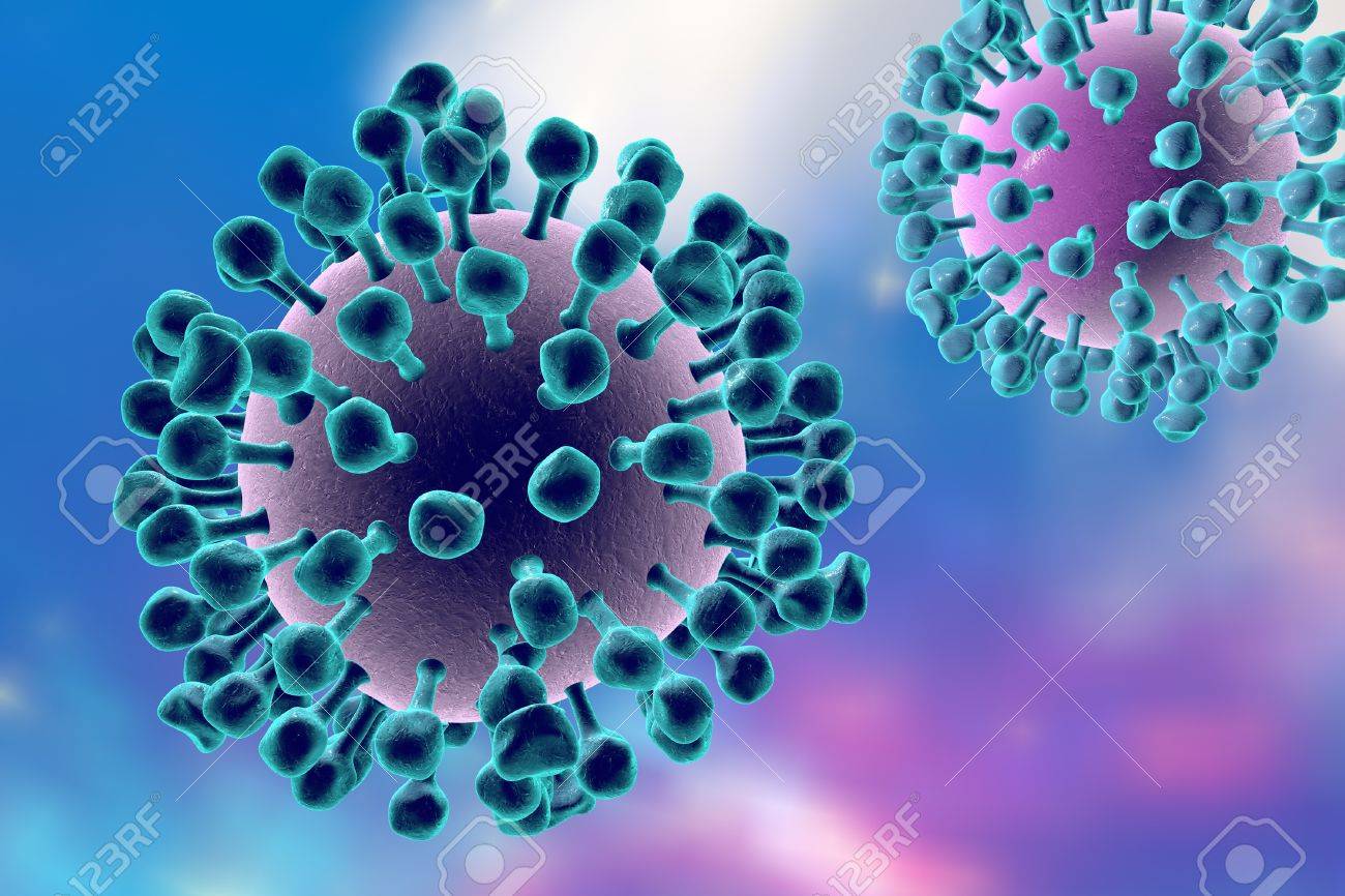 influenza viruses a virus which causes flu model shows