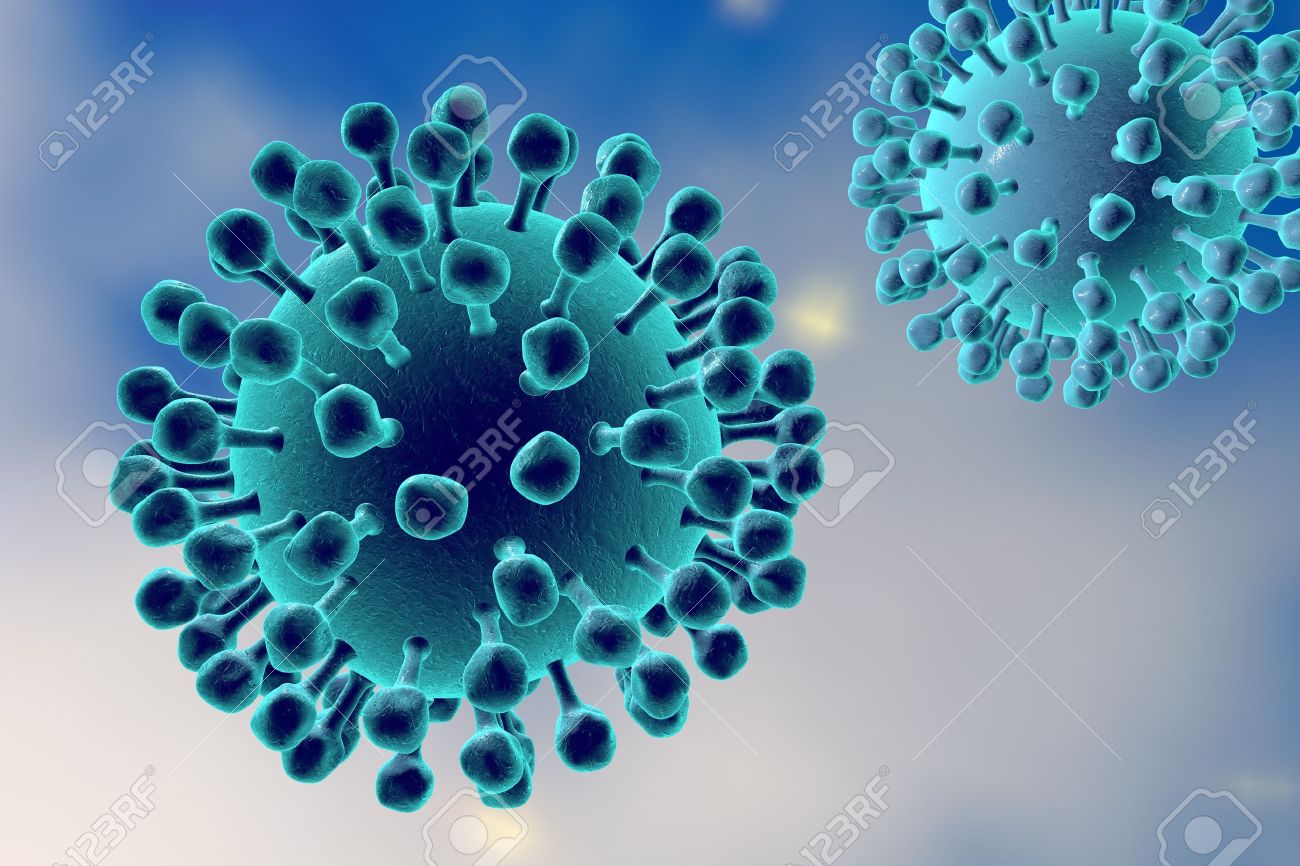 influenza viruses a virus which causes flu model shows