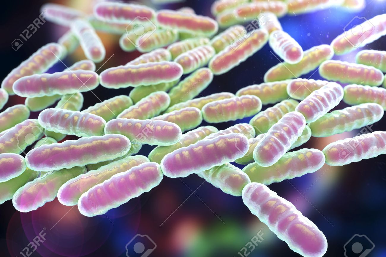 Stock Illustration - 