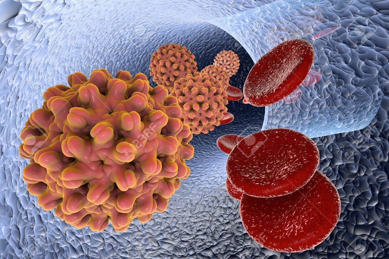 Virus De La Hepatitis B En Los Vasos Sanguíneos Con Células Rojas ...