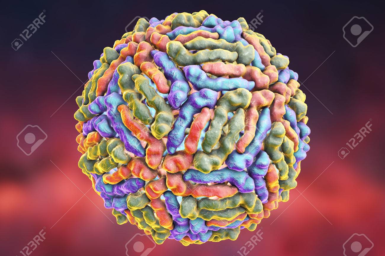 West Nile Virus Isolated On White Background, 3D Illustration. A Virus  Transmitted By Mosquito And Causing West Nile Fever Stock Photo, Picture  And Royalty Free Image. Image 66213989.