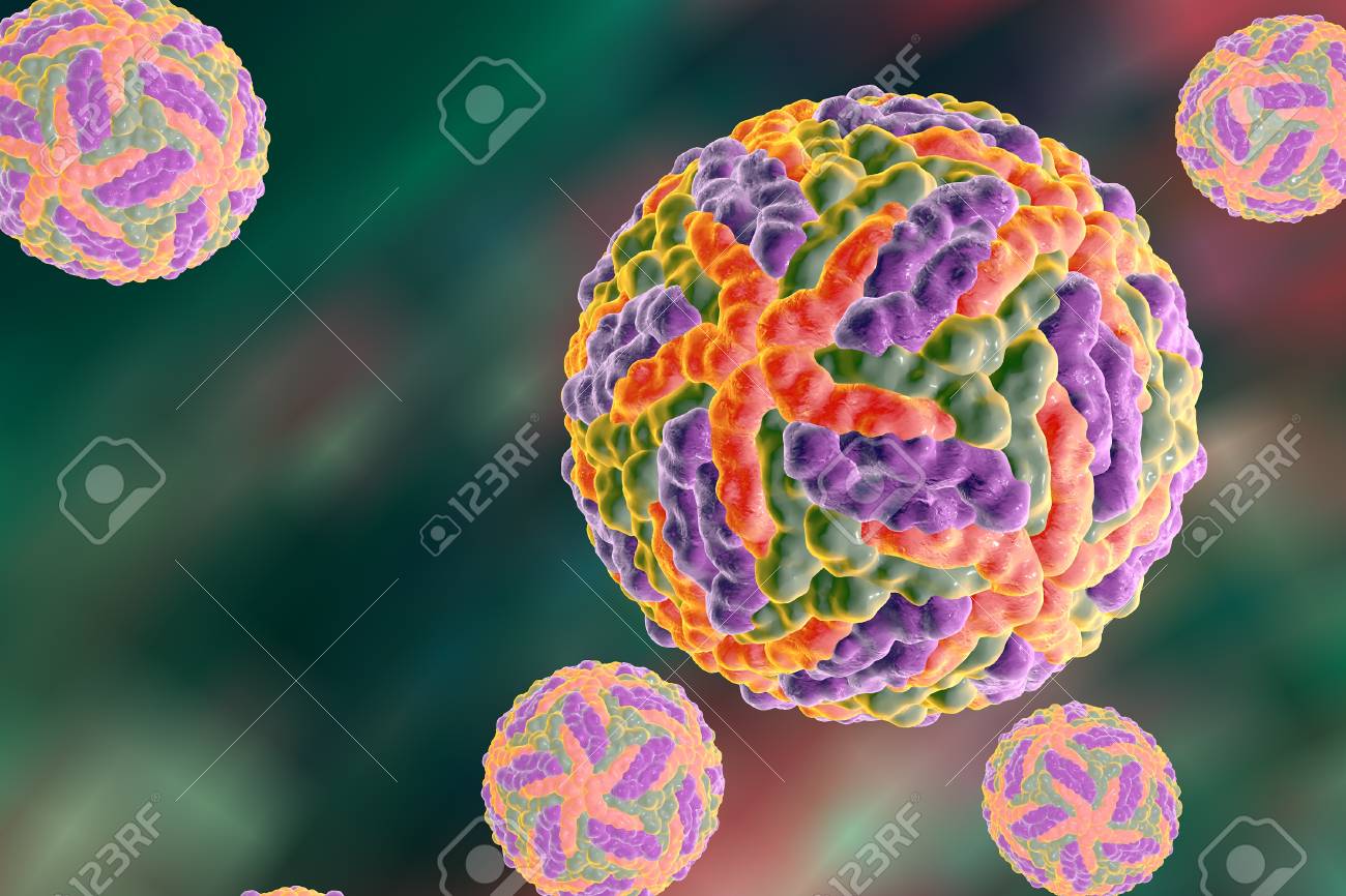 Dengue Virus Which Causes Yellow Fever And Is Transmitted By Stock Photo Picture And Royalty Free Image Image 66214343