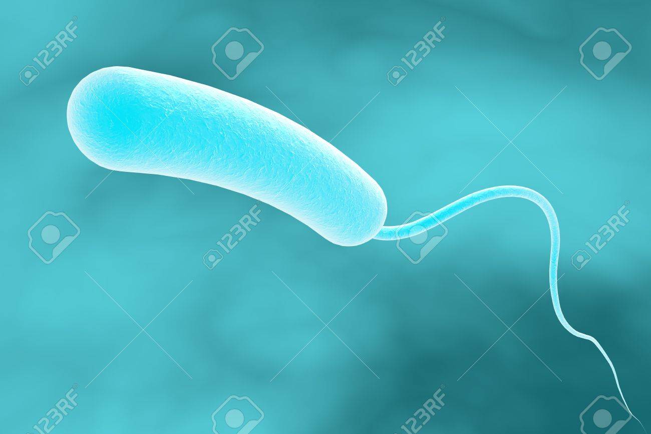 Vibrio Cholerae Bacterium, 3D Illustration. Bacterium Which Causes Cholera  Stock Photo, Picture and Royalty Free Image. Image 66214578., image size:1300x866