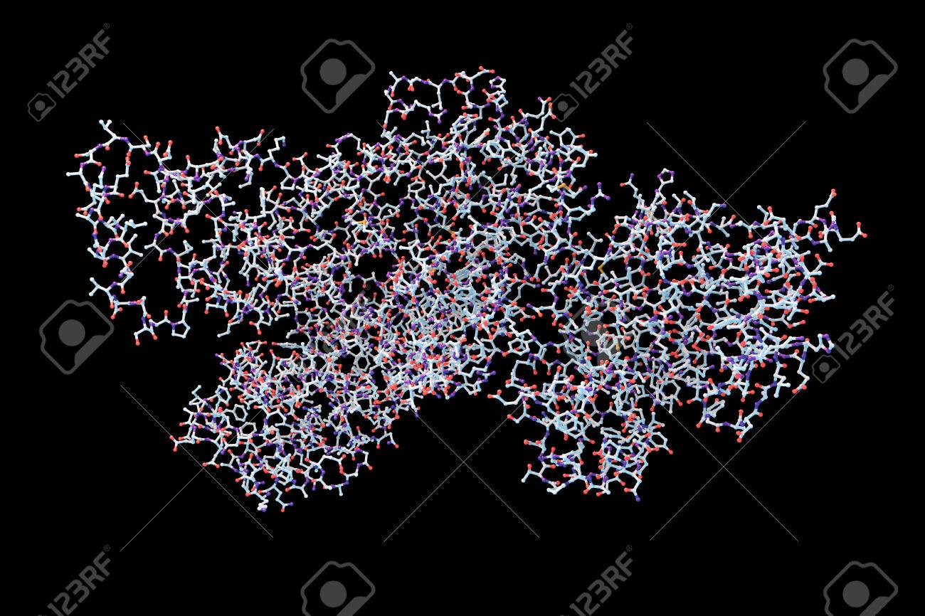 lethal toxin of anthrax bacterium bacillus anthracis isolated