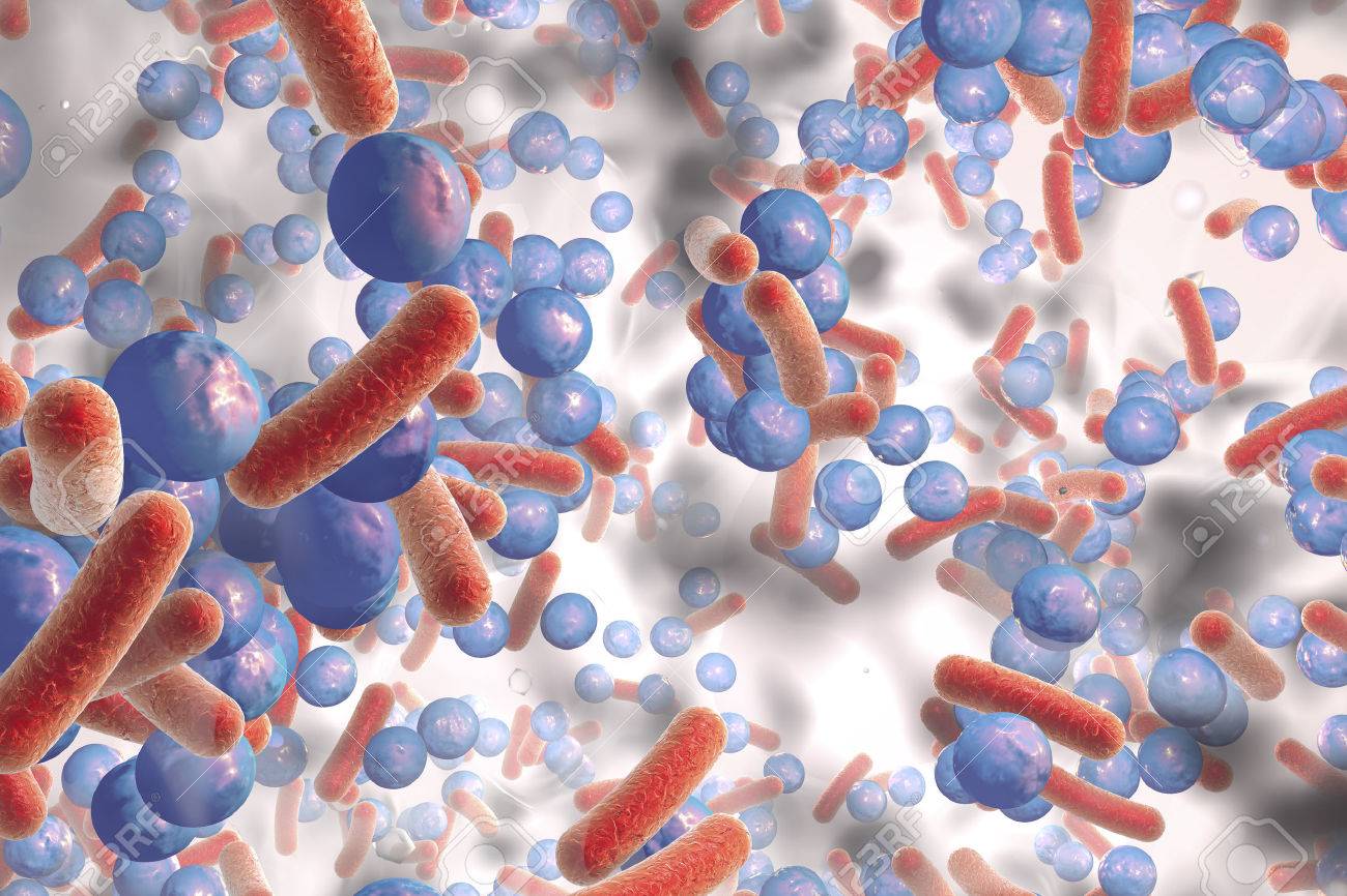 Premium Photo Staphylococcus aureus antibiotic resistant bacteria