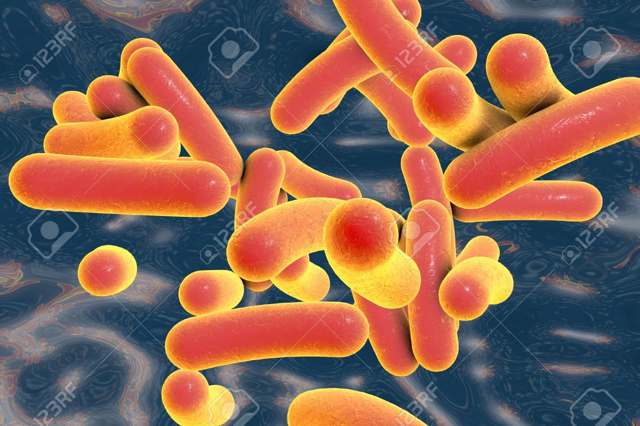 Vibrio Cholerae Bacterium, 3D Illustration. Bacterium Which Causes Cholera  Stock Photo, Picture and Royalty Free Image. Image 72525107., image size:1300x866