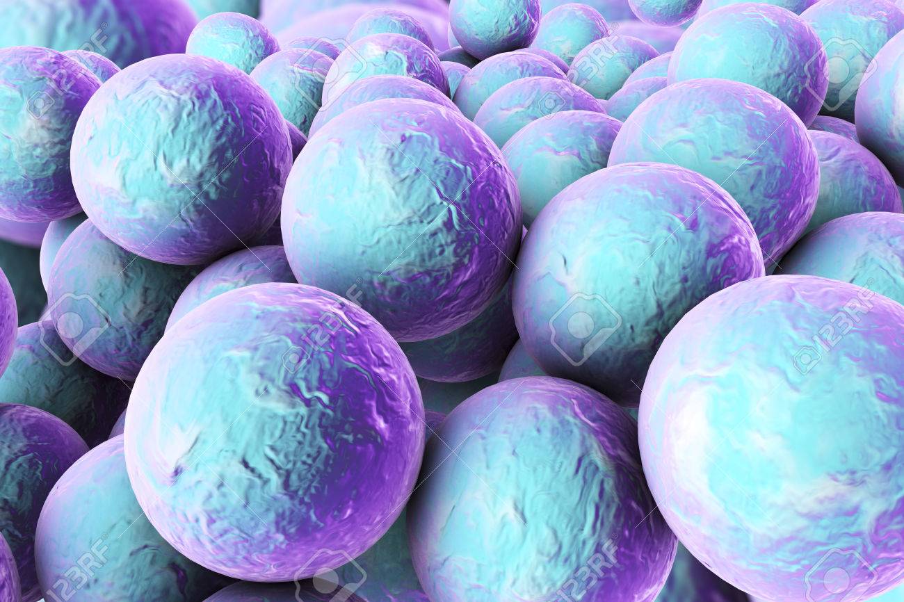Bakterien Staphylococcus Aureus Mrsa Auf Der Oberflache Der Haut Oder Schleimhaut 3d Darstellung Lizenzfreie Fotos Bilder Und Stock Fotografie Image 73933544