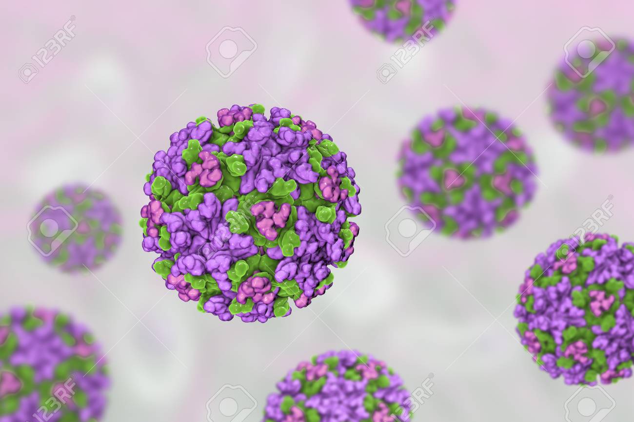 eastern equine encephalitis virus 3d illustration an rna