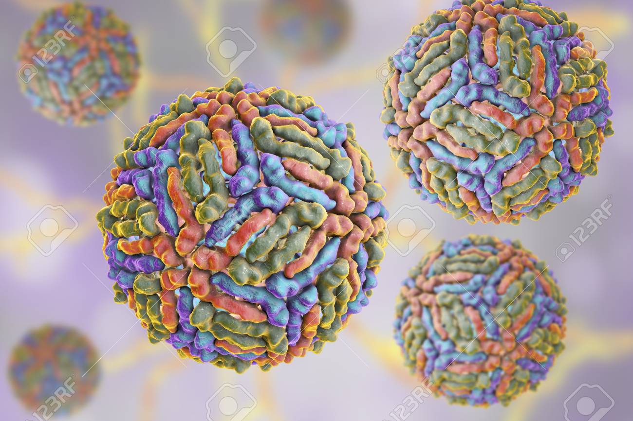 West Nile Virus Wnv 3d Illustration A Virus Transmitted By Stock Photo Picture And Royalty Free Image Image 106034183