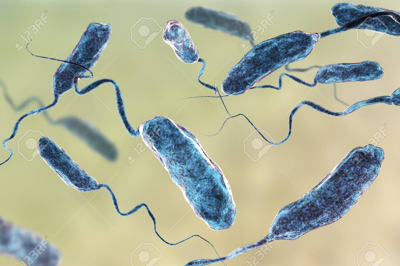 Vibrio Cholerae Bacteria, 3D Illustration. Bacterium Which Causes Cholera  Disease And Is Transmitted By Contaminated Water Stock Photo, Picture and  Royalty Free Image. Image 108106495., image size:1300x866