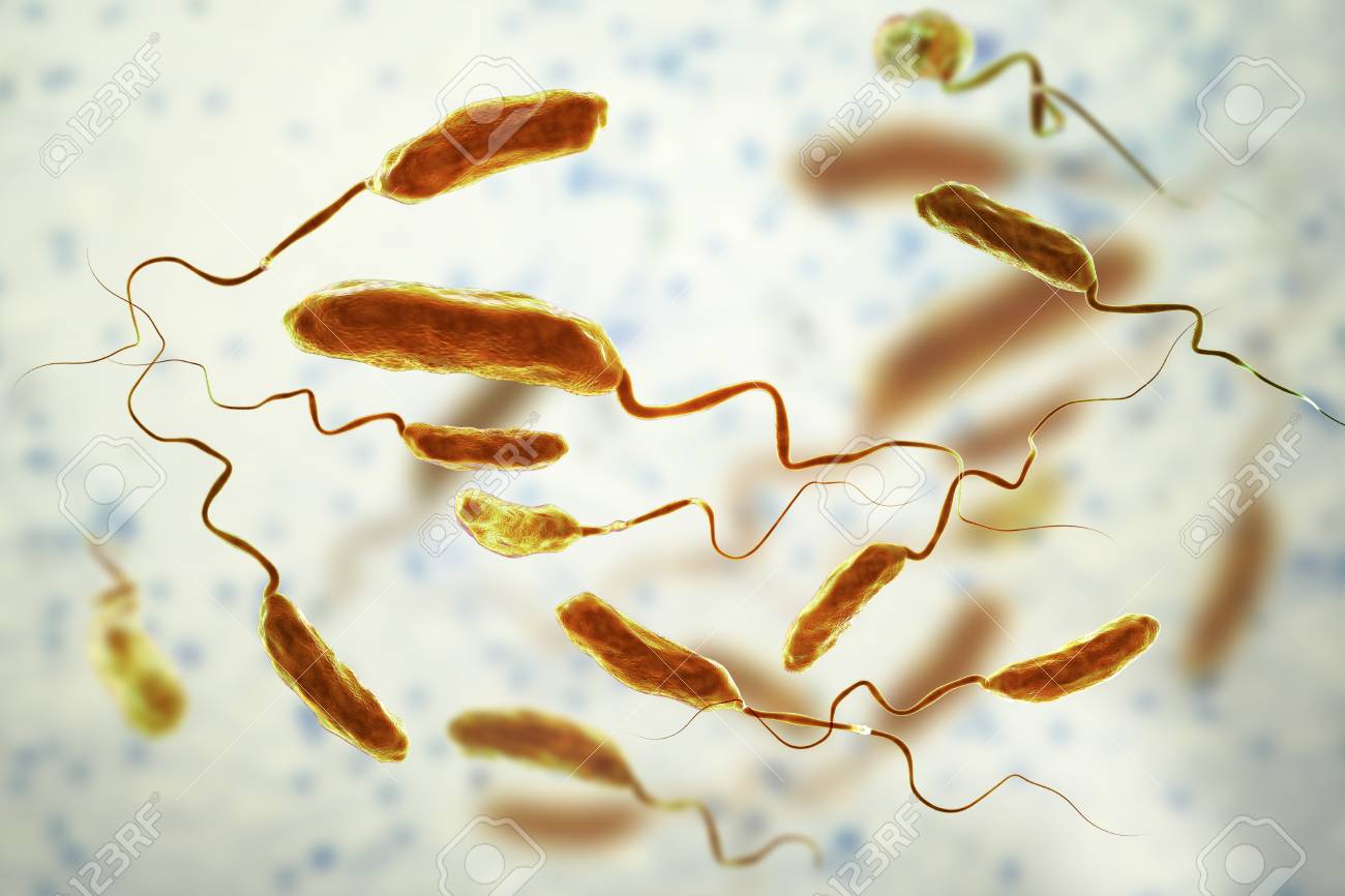 Vibrio Cholerae Bacteria, 3D Illustration. Bacterium Which Causes Cholera  Disease And Is Transmitted By Contaminated Water Stock Photo, Picture and  Royalty Free Image. Image 108106501., image size:1300x866