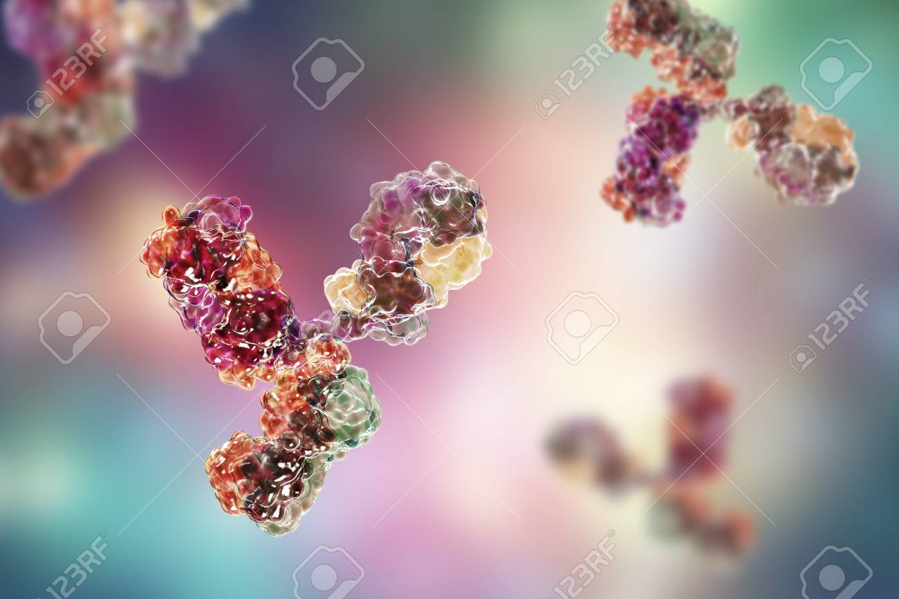 Molecular model of antibody taking part in immune defense. Molecule of immunoglobulin, 3D illustration - 119237819 Molecular model of antibody taking part in immune defense. Molecule of immunoglobulin, 3D illustration - 119237819