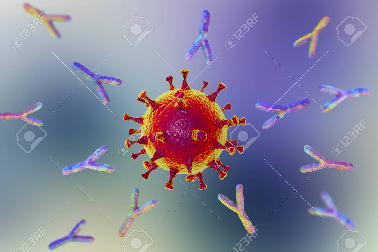 Antibodies attacking SARS-CoV-2 virus, the conceptual 3D illustration for COVID-19 treatment, diagnosis and prevention - 144759840 Antibodies attacking SARS-CoV-2 virus, the conceptual 3D illustration for COVID-19 treatment, diagnosis and prevention - 144759840