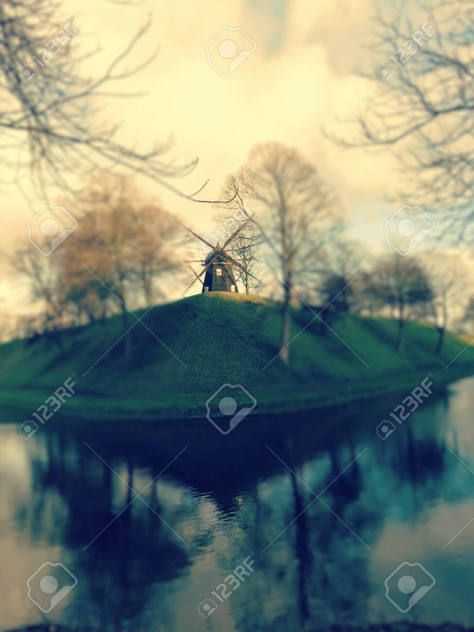 etiam-dictum-ipsum-a-felis