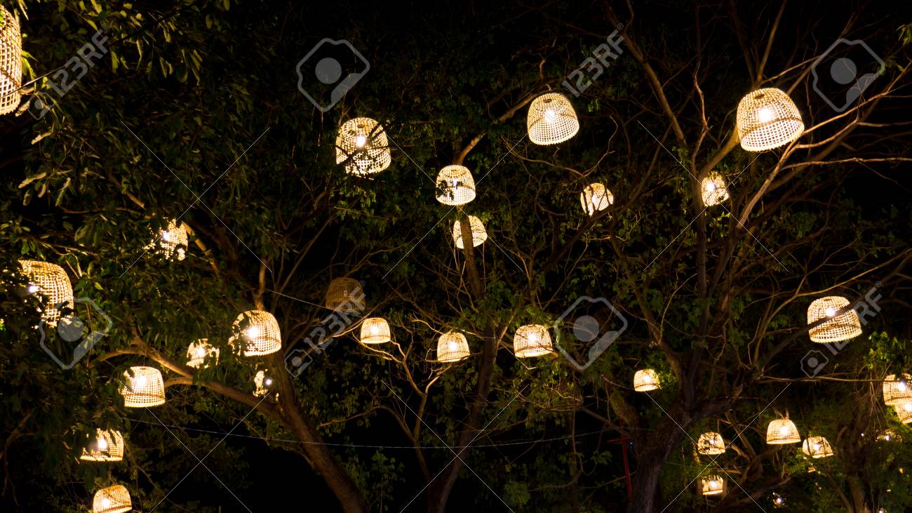 Light In Chicken Coop On Trees Thai Style