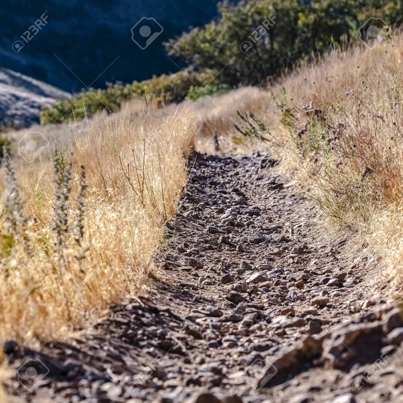 gravel trail